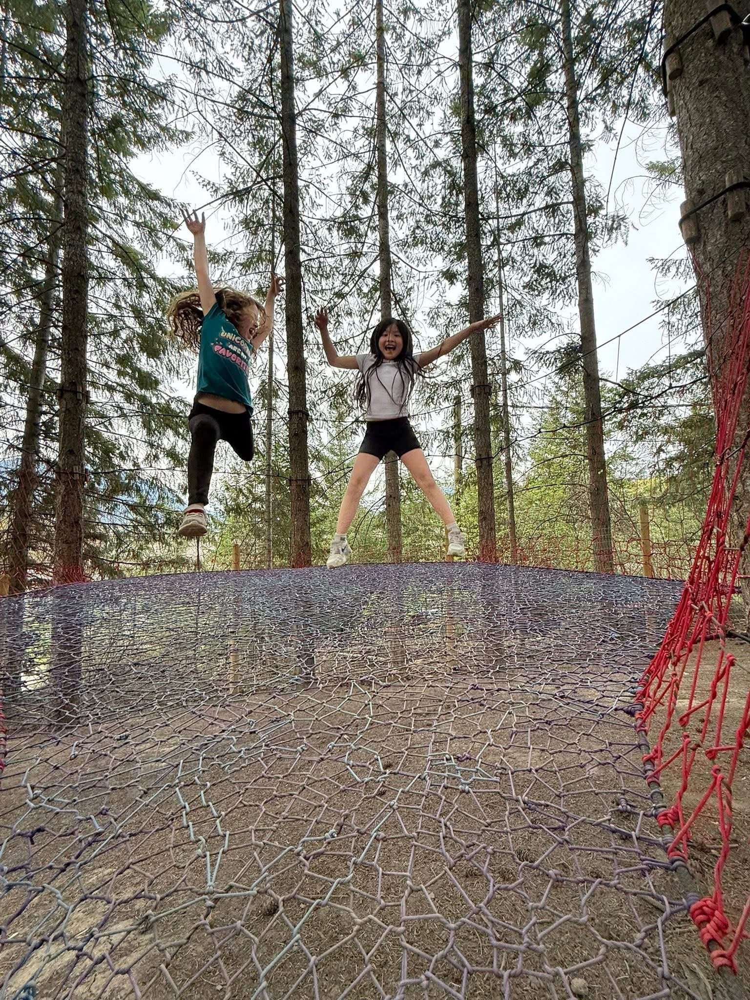 Expansive Tree Net Adventure Park at Shuswap Kids Club