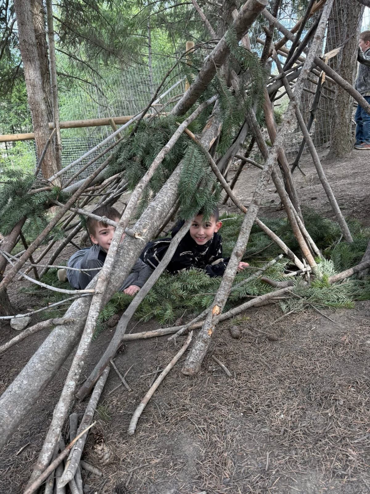 Children peering out from a fort they built from branches and boughs in the forest